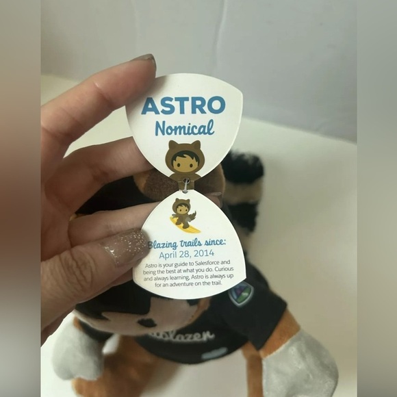 Trailblazer Racoon in Hoodie Salesforce Astro - Picture 5 of 6